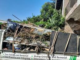 Best Basement Cleanout  in Foreman, AR